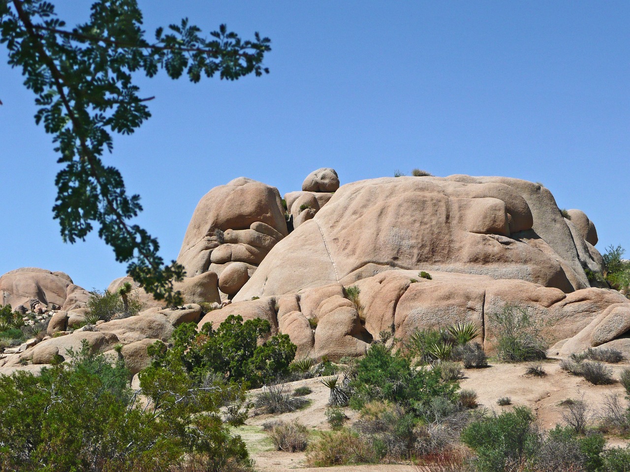 The Ultimate Guide to Rock Climbing in Joshua Tree